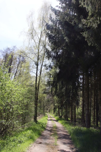 Gamengrund